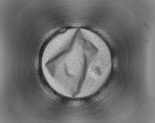 X0000111650540200908141254