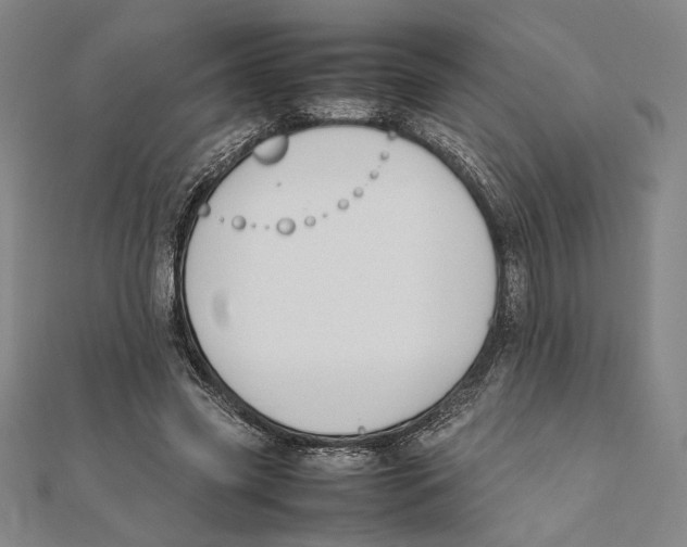 X0000111650541200908141254