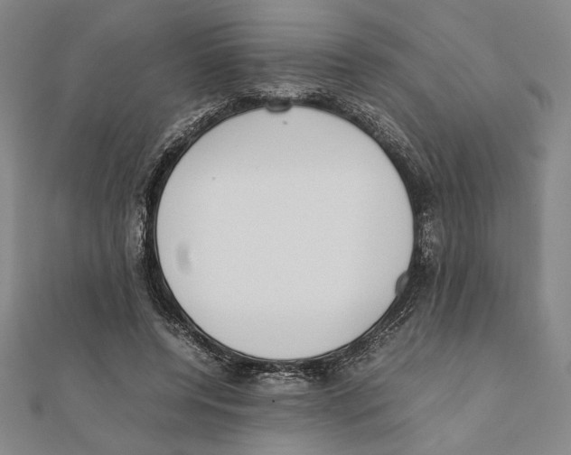 X0000111650544200908141254