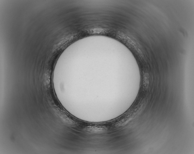 X0000111650545200908141254