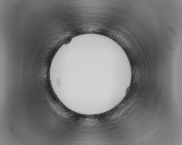 X0000111650546200908141254