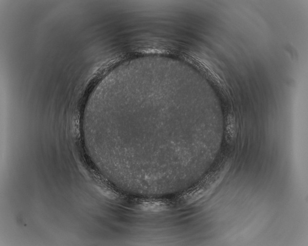 X0000111650547200908141254