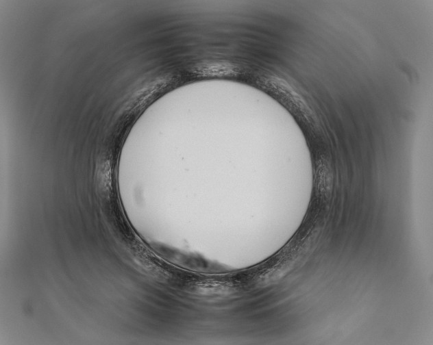 X0000111650549200908141254