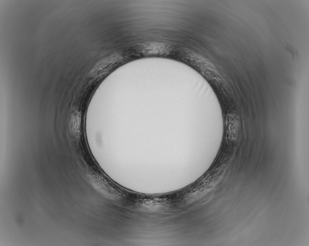 X0000111650550200908141254