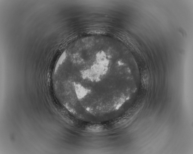 X0000111650551200908141254