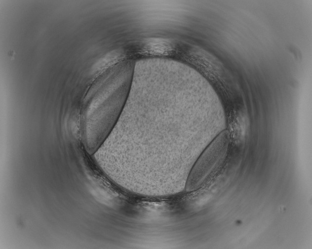 X0000111650552200908141254