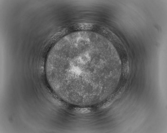 X0000111650553200908141254
