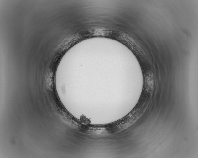 X0000111650554200908141254