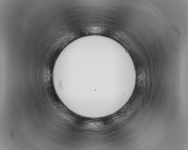 X0000111650555200908141254