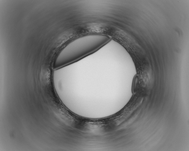 X0000111650556200908141254