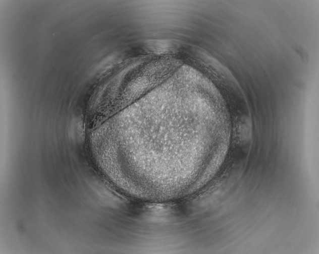X0000111650558200908141254