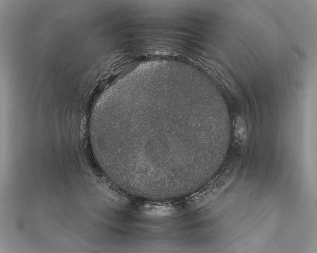 X0000111650559200908141254