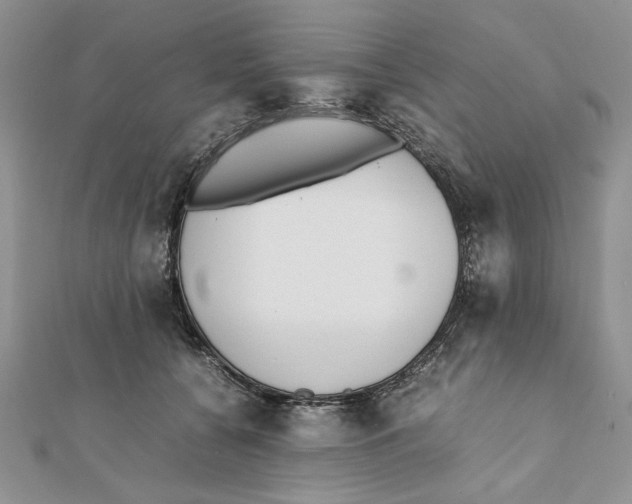 X0000111650560200908141254
