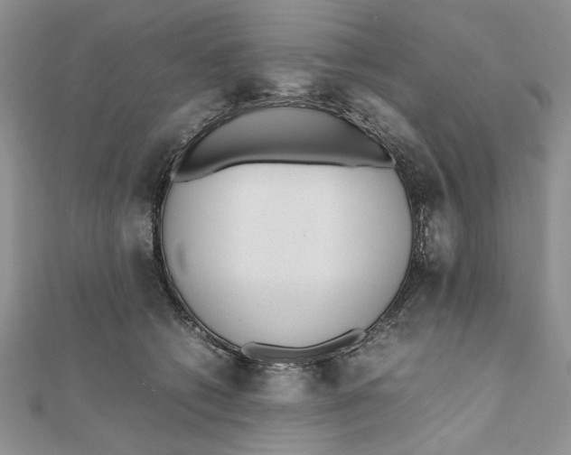 X0000111650562200908141254