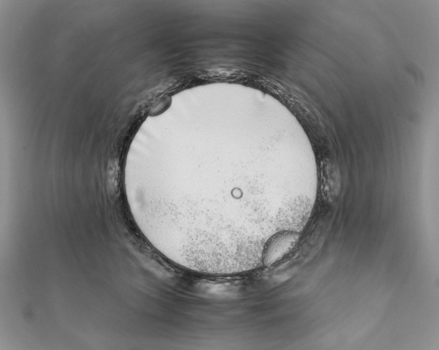 X0000111650563200908141254