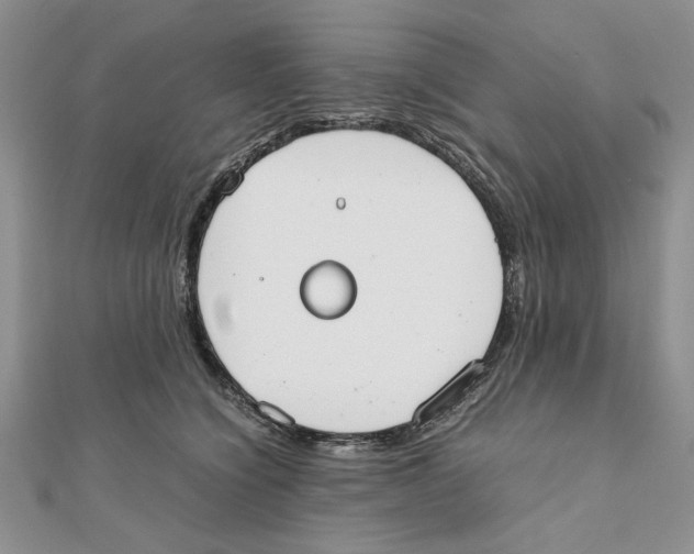 X0000111650564200908141254
