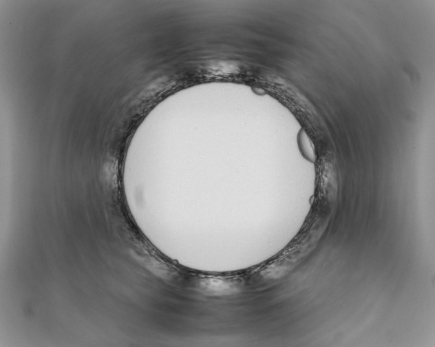 X0000111650565200908141254