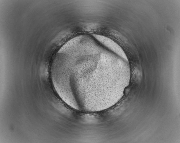 X0000111650566200908141254