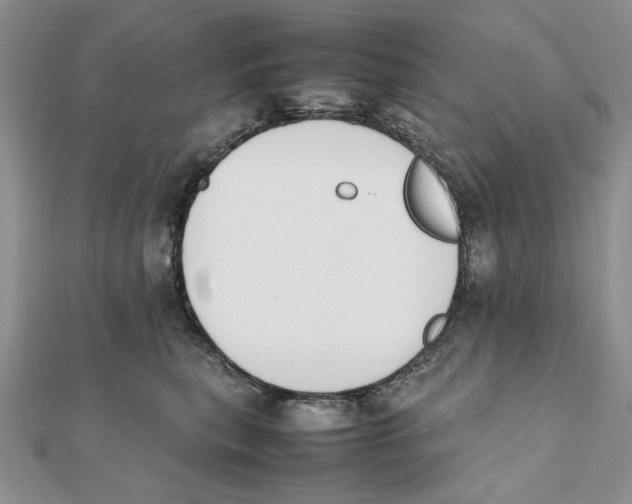 X0000111650567200908141254