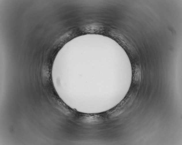 X0000111650569200908141254