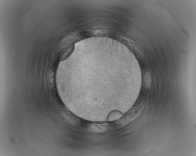 X0000111650571200908141254