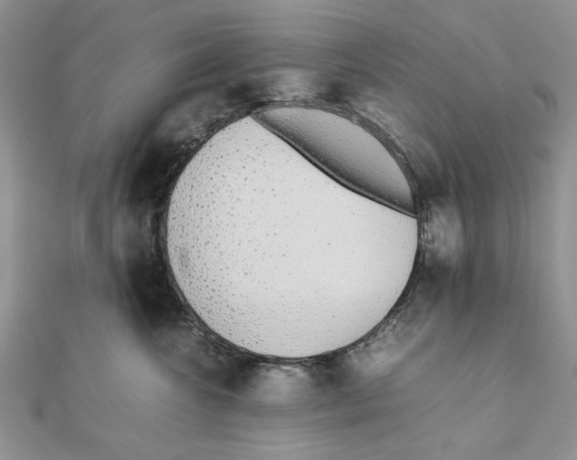 X0000111650572200908141254
