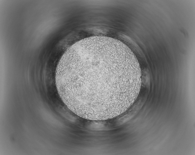 X0000111650573200908141254