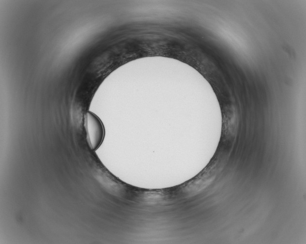 X0000111650574200908141254