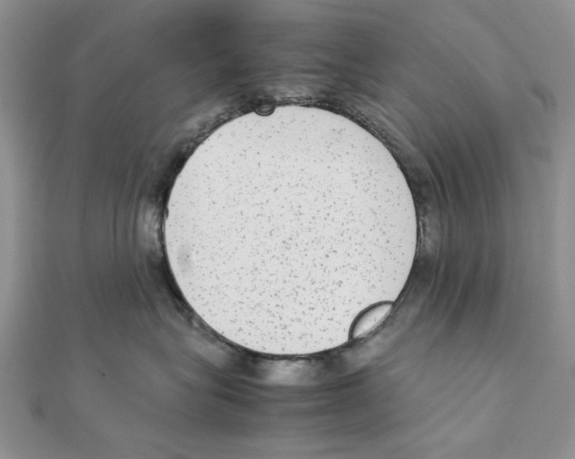 X0000111650575200908141254
