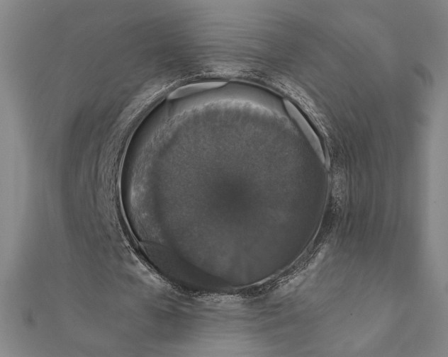 X0000111650577200908141254