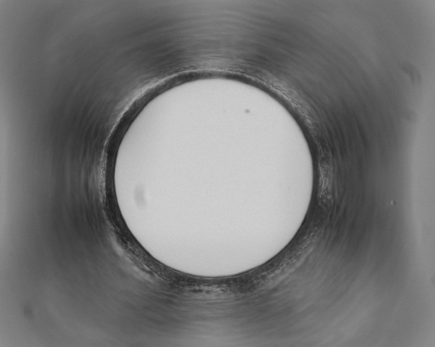 X0000111650580200908141254