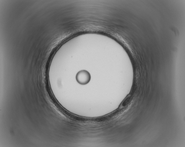 X0000111650581200908141254