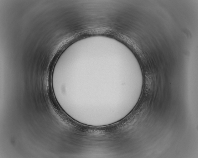 X0000111650582200908141254