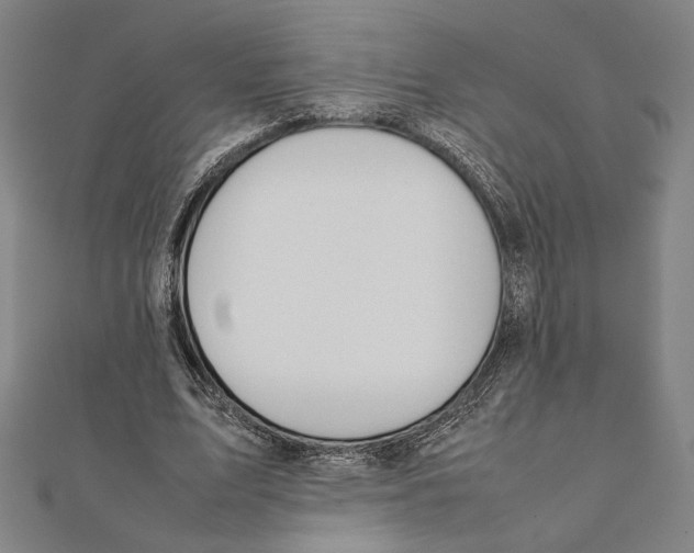 X0000111650583200908141254