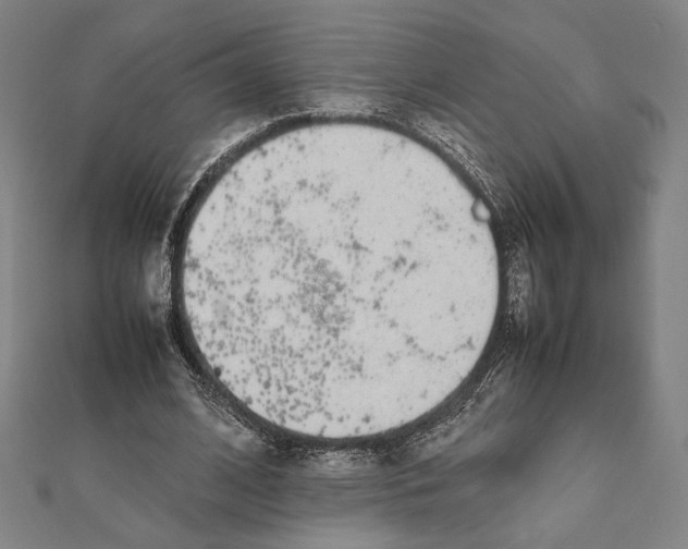 X0000111650584200908141253