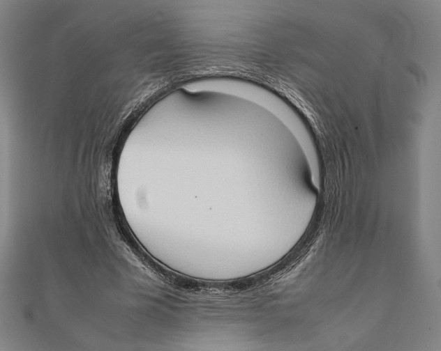 X0000111650585200908141253
