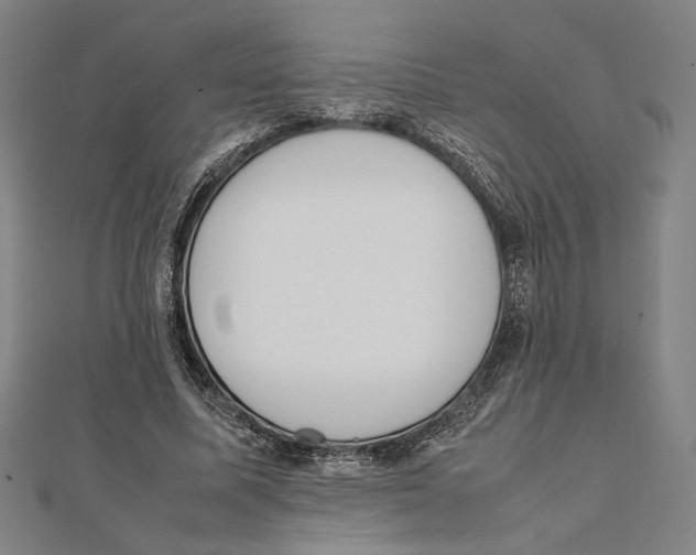 X0000111650587200908141253