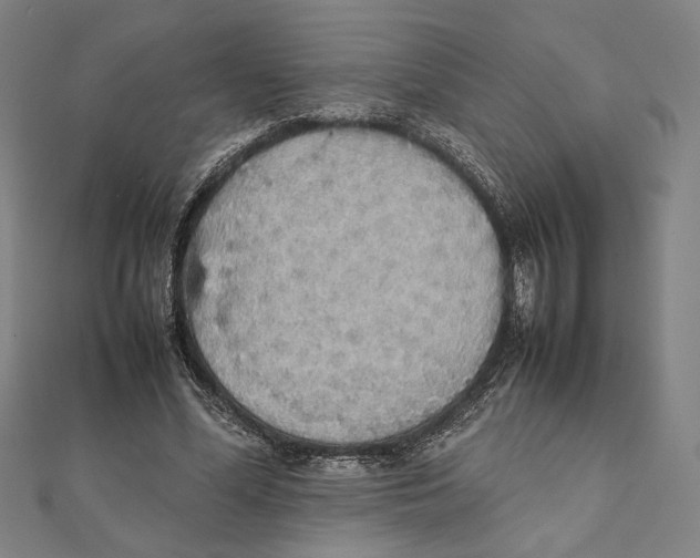 X0000111650588200908141253