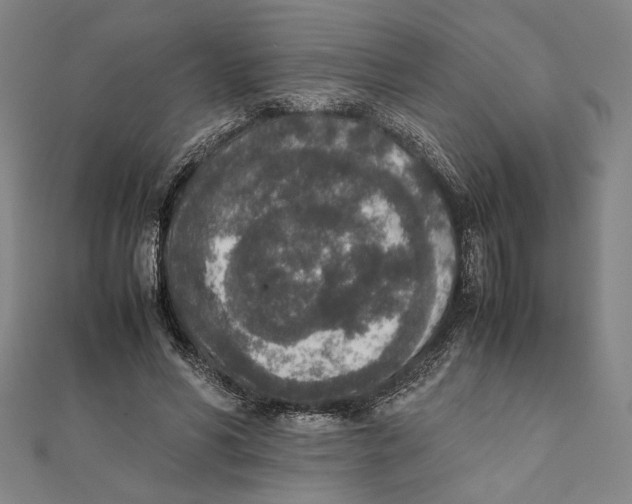 X0000111650590200908141253