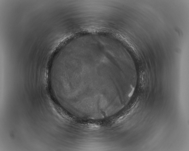 X0000111650592200908141253