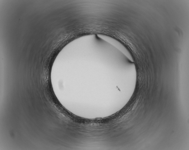 X0000111650593200908141253