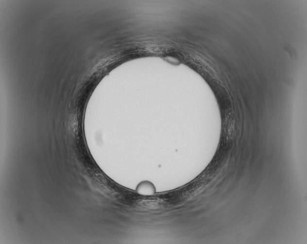 X0000111650595200908141253