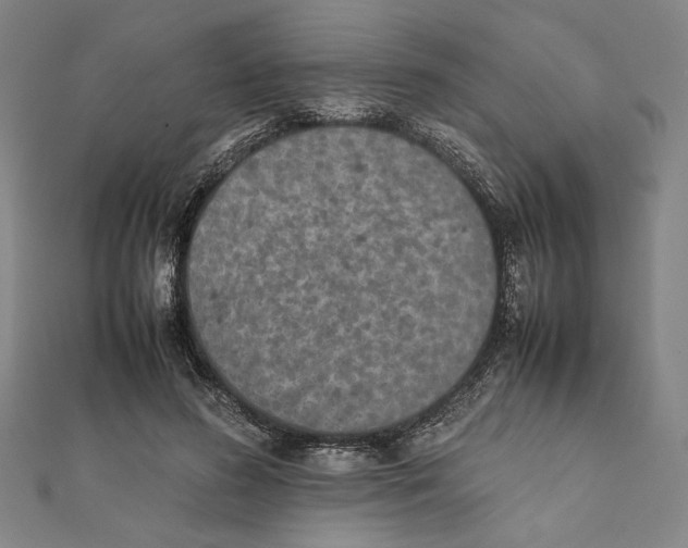 X0000111650596200908141253