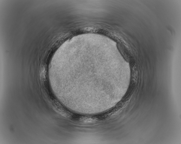 X0000111650597200908141253
