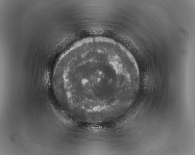 X0000111650598200908141253