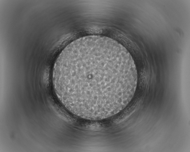 X0000111650600200908141253