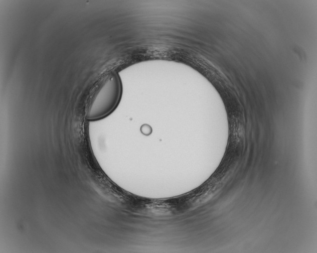 X0000111650603200908141253
