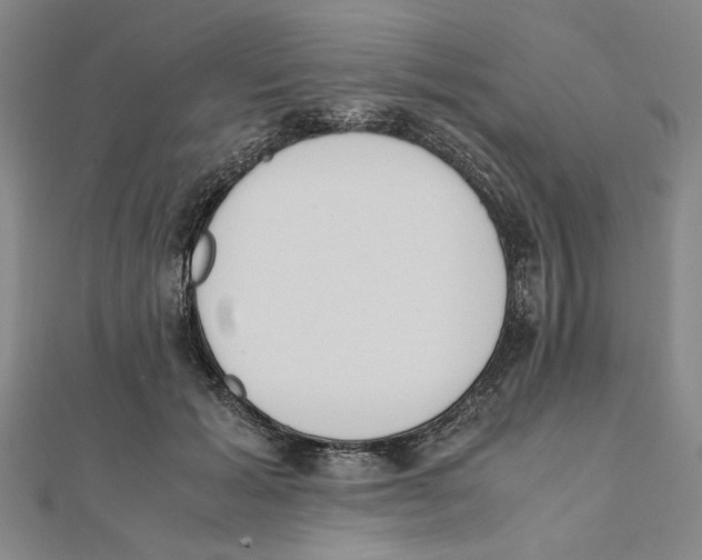X0000111650605200908141253
