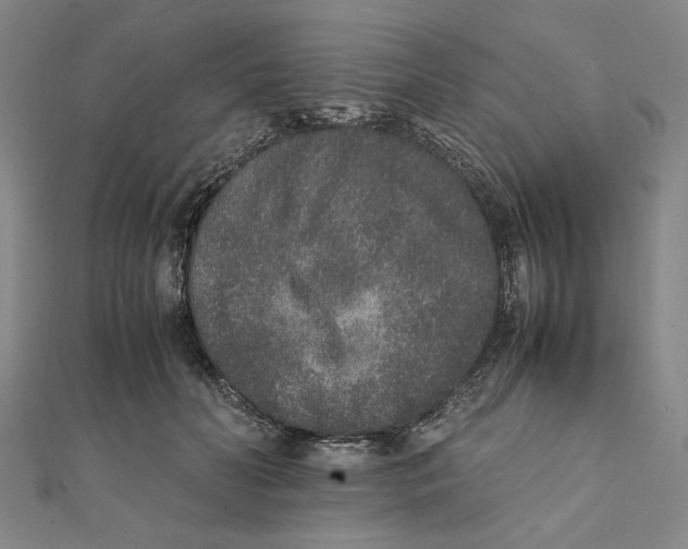 X0000111650606200908141253