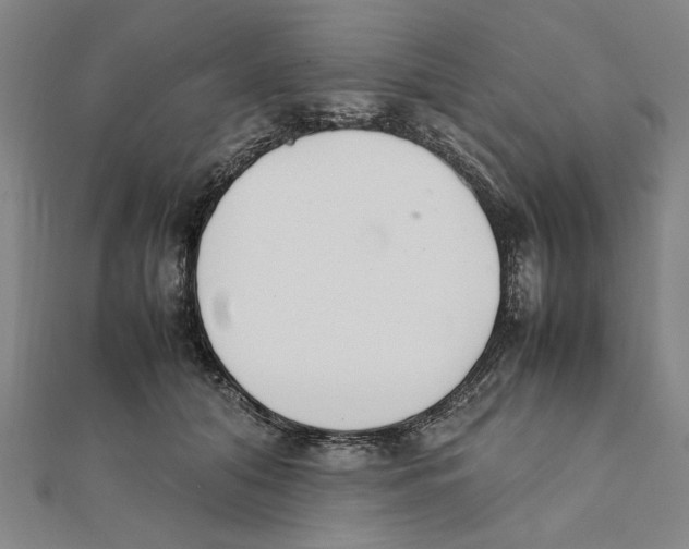 X0000111650608200908141253
